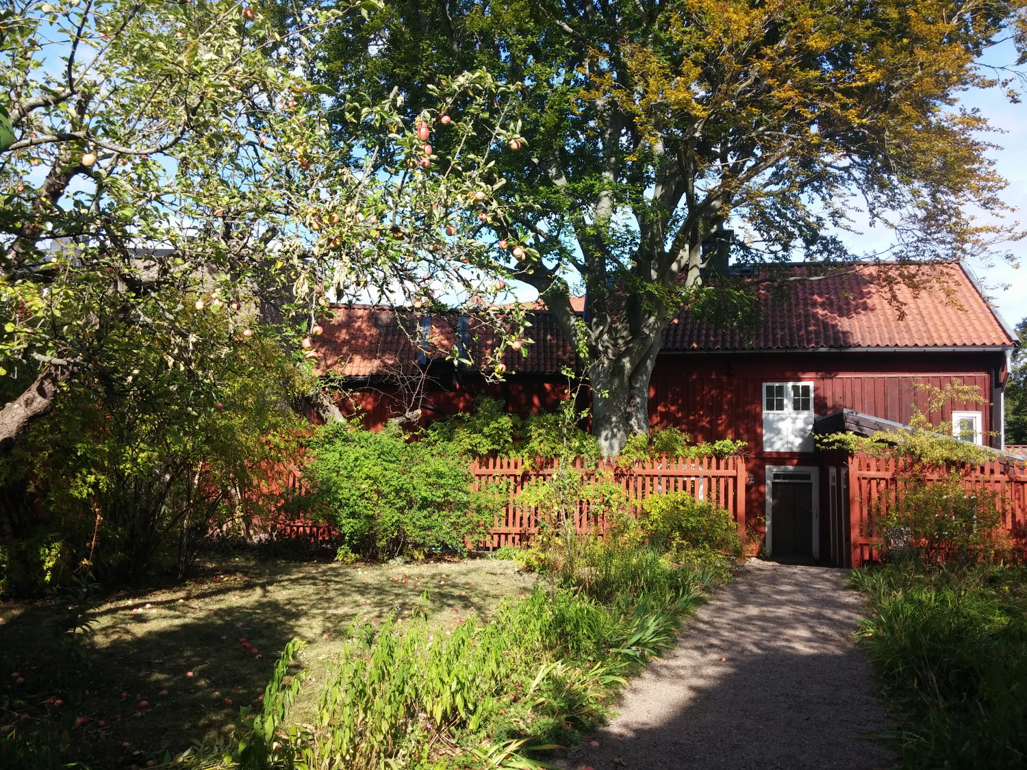 En stig med träd på sidan av ett hus